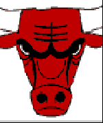bulls and jordan